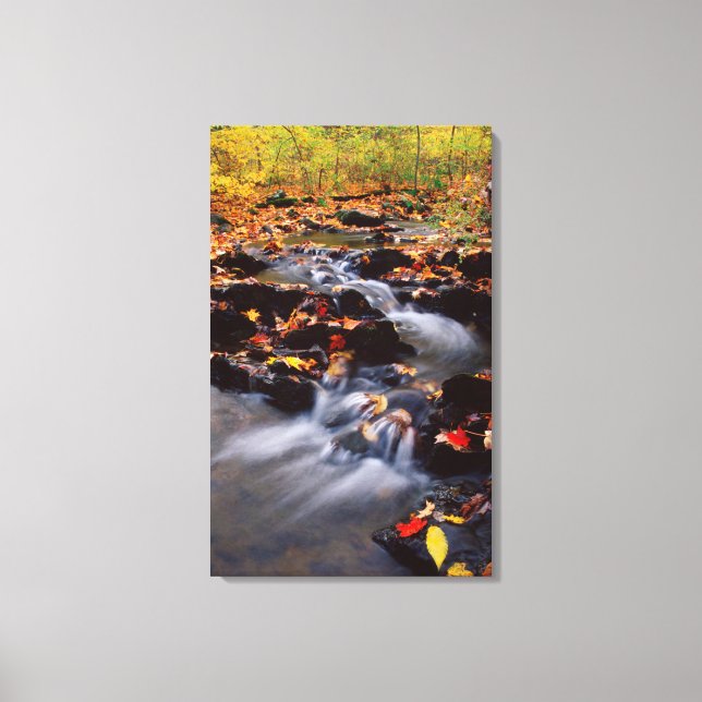 USA, Pennsylvania, Pocono Mountains 2 Canvas Print (Front)