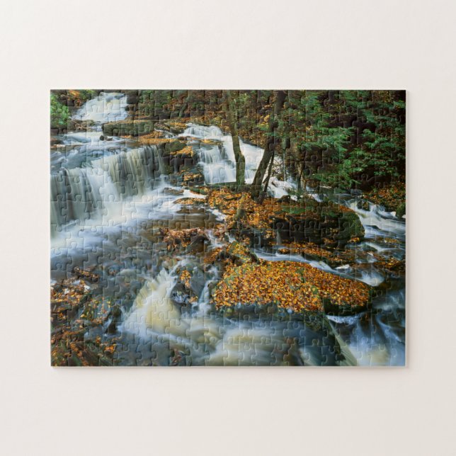 USA, Pennsylvania, Ricketts Glen State Park Jigsaw Puzzle (Horizontal)
