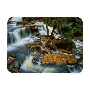 USA, Pennsylvania, Ricketts Glen State Park Magnet