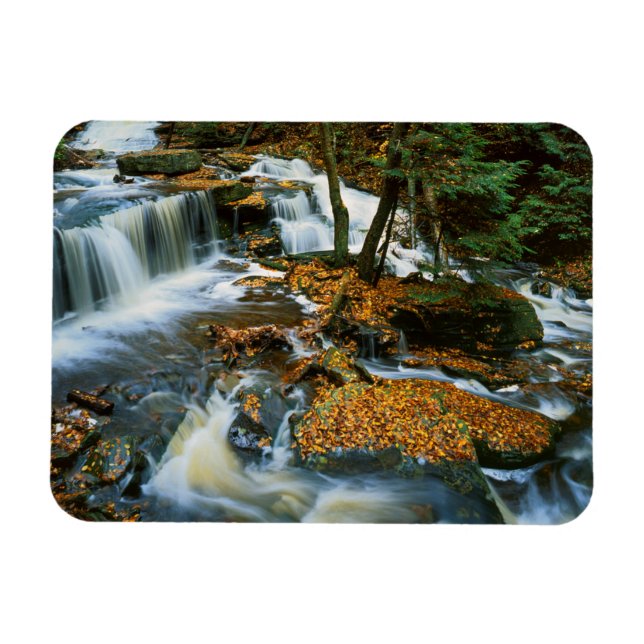 USA, Pennsylvania, Ricketts Glen State Park Magnet (Horizontal)
