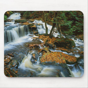 USA, Pennsylvania, Ricketts Glen State Park Mouse Mat
