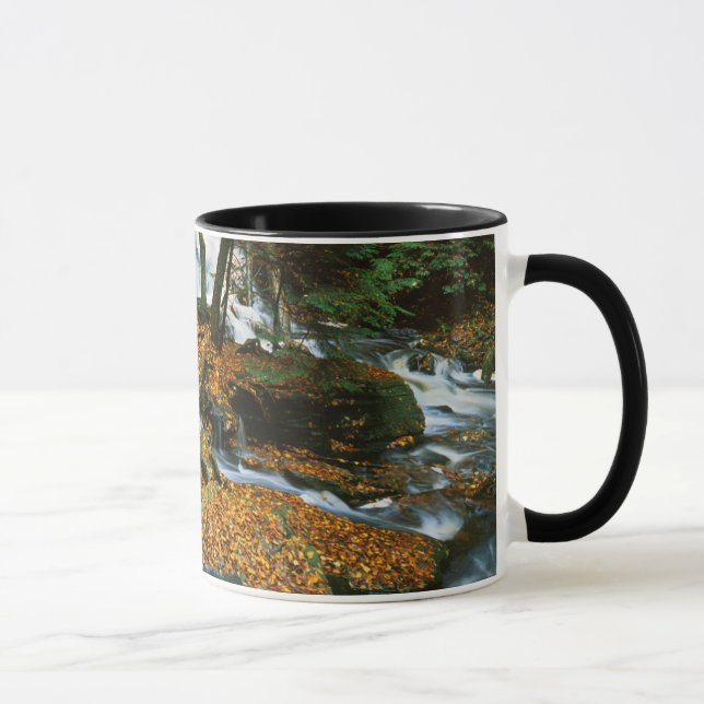USA, Pennsylvania, Ricketts Glen State Park Mug (Right)