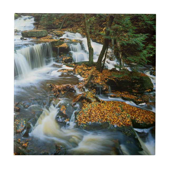 USA, Pennsylvania, Ricketts Glen State Park Tile (Front)