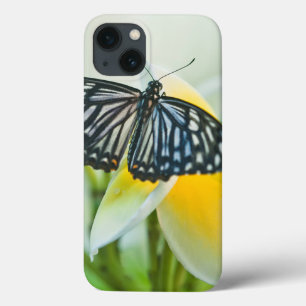 USA, Pennsylvania. Swallowtail butterfly iPhone 13 Case
