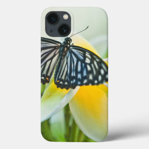 USA, Pennsylvania. Swallowtail butterfly iPhone 13 Case