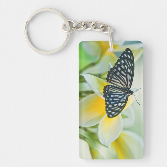 USA, Pennsylvania. Swallowtail butterfly Key Ring (Front)