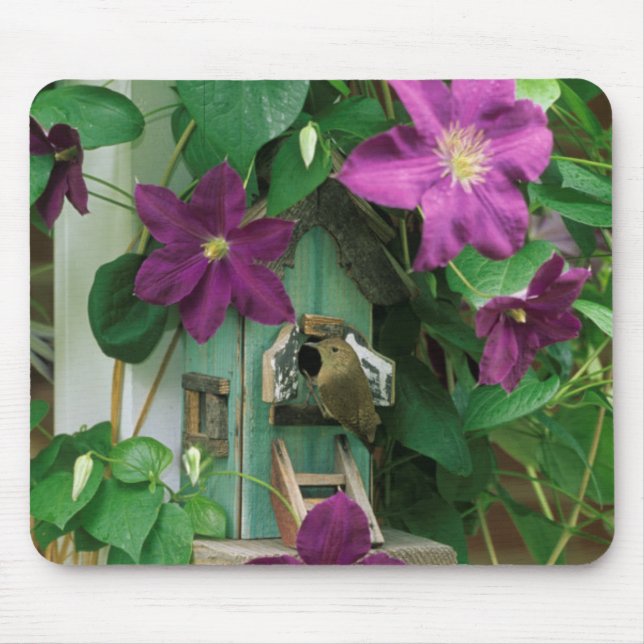 USA, Pennsylvania. Wren in birdhouse Mouse Mat (Front)