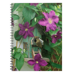 USA, Pennsylvania. Wren in birdhouse Notebook