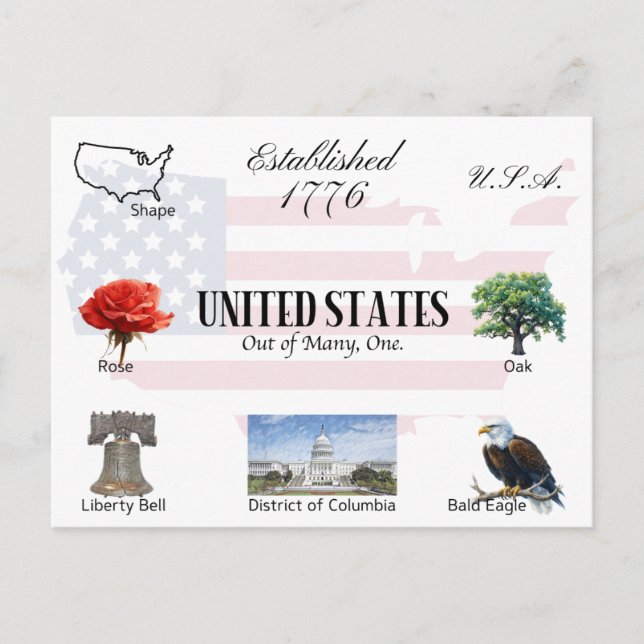 USA Postcard | United States of America (Front)