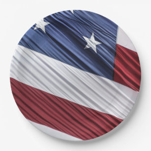 USA Red, White and Blue American Patriotic Flag Paper Plate