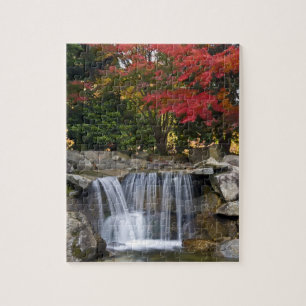 USA, Redmond, Washington. Fall colour in a park. Jigsaw Puzzle