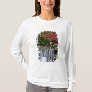 USA, Redmond, Washington. Fall colour in a park. T-Shirt