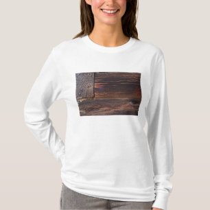 USA, Salmon, Idaho, Log Cabin T-Shirt