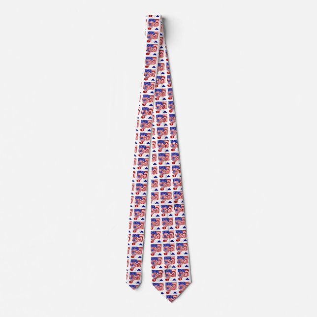 USA Soccer Ball and Flag Tie (Back)