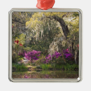 USA, South Carolina, Charleston. Cypress Trees 2 Metal Tree Decoration