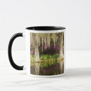 USA, South Carolina, Charleston. Cypress Trees Mug
