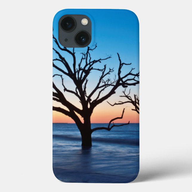 USA, South Carolina, Edisto Island, Botany Bay Case-Mate iPhone Case (Back)