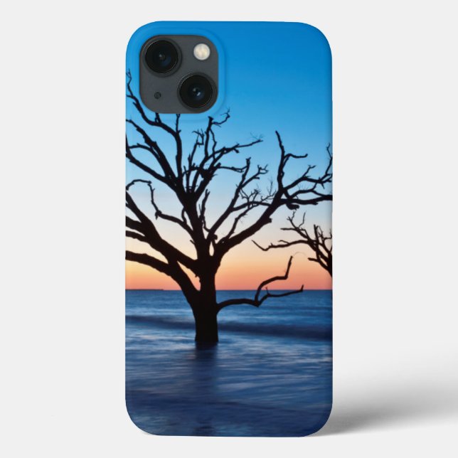 USA, South Carolina, Edisto Island, Botany Bay Case-Mate iPhone Case (Back)