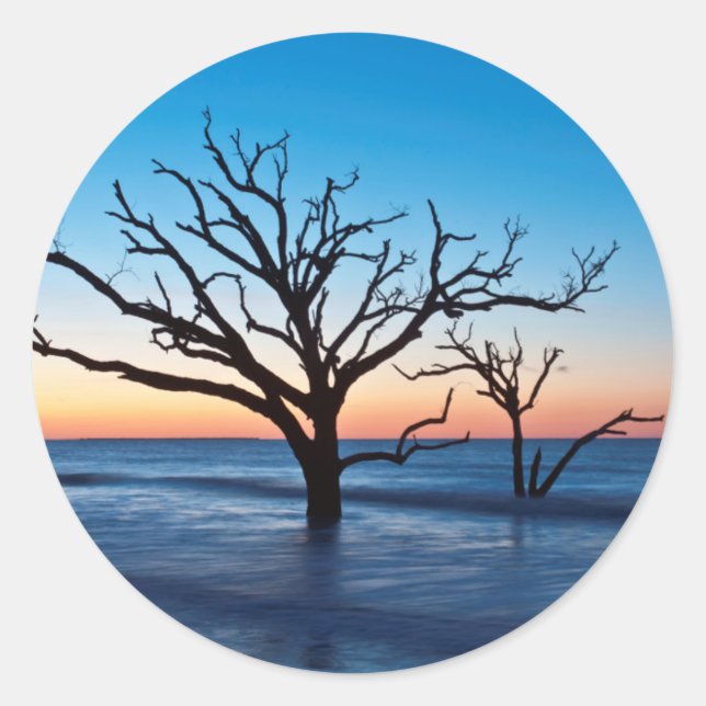 USA, South Carolina, Edisto Island, Botany Bay Classic Round Sticker (Front)