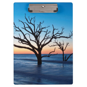 USA, South Carolina, Edisto Island, Botany Bay Clipboard