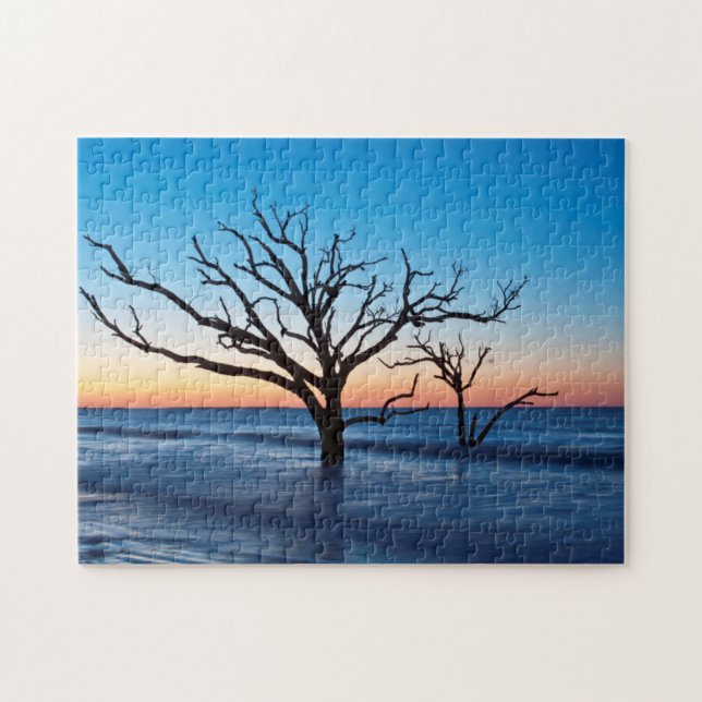 USA, South Carolina, Edisto Island, Botany Bay Jigsaw Puzzle (Horizontal)