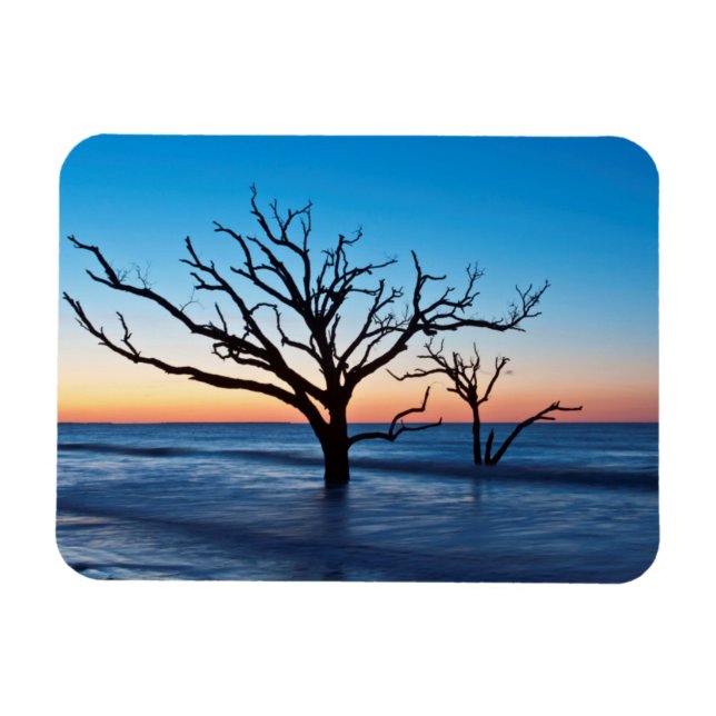 USA, South Carolina, Edisto Island, Botany Bay Magnet (Horizontal)