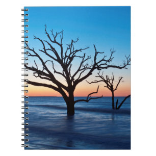 USA, South Carolina, Edisto Island, Botany Bay Notebook