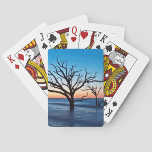 USA, South Carolina, Edisto Island, Botany Bay Playing Cards