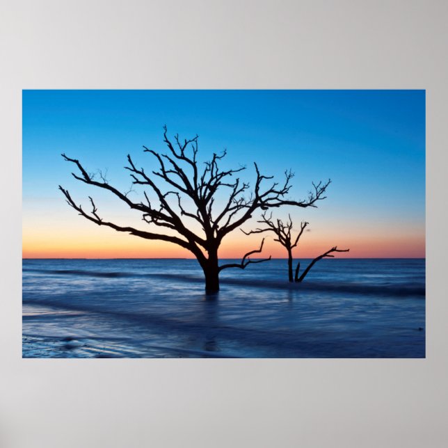 USA, South Carolina, Edisto Island, Botany Bay Poster (Front)