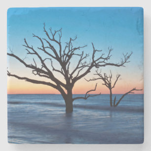 USA, South Carolina, Edisto Island, Botany Bay Stone Coaster