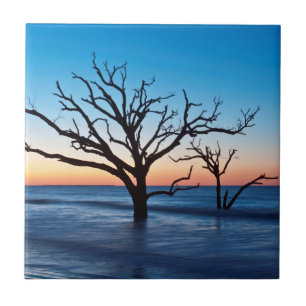 USA, South Carolina, Edisto Island, Botany Bay Tile