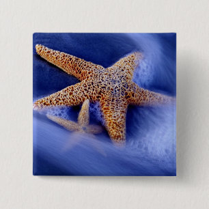 USA, South Carolina, Hilton Head Island. Two 15 Cm Square Badge