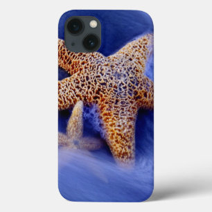 USA, South Carolina, Hilton Head Island. Two iPhone 13 Case