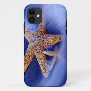 USA, South Carolina, Hilton Head Island. Two iPhone 11 Case