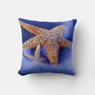 USA, South Carolina, Hilton Head Island. Two Cushion