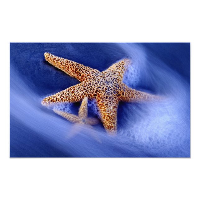 USA, South Carolina, Hilton Head Island. Two Photo Print (Front)