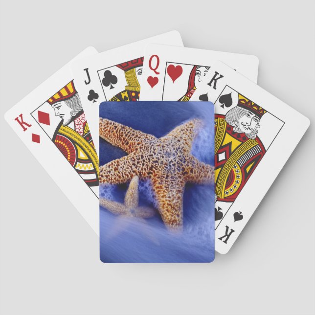 USA, South Carolina, Hilton Head Island. Two Playing Cards (Back)