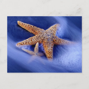 USA, South Carolina, Hilton Head Island. Two Postcard