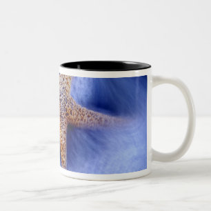 USA, South Carolina, Hilton Head Island. Two Two-Tone Coffee Mug