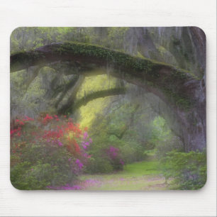 USA, South Carolina, Magnolia Gardens. Mouse Mat