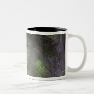 USA, South Carolina, Magnolia Gardens. Two-Tone Coffee Mug