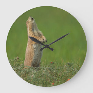 USA, South Dakota, Custer State Park Large Clock