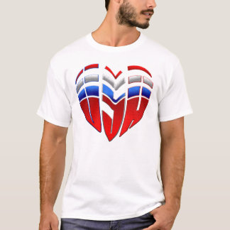 USA sports men and womens united states flag USA T-Shirt