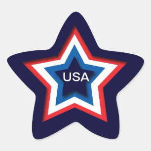USA STAR STICKER