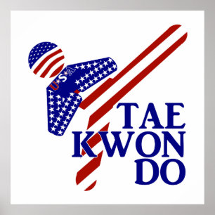 USA Taekwondo Kick (1) Poster