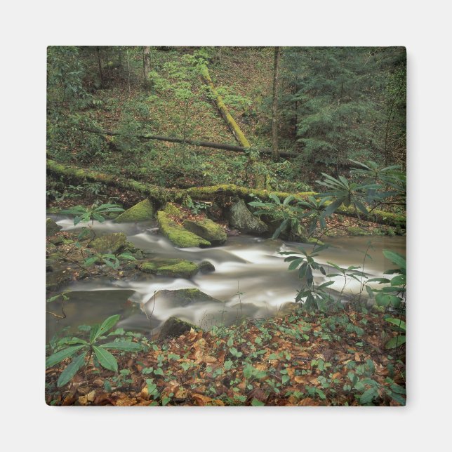 USA, Tennessee. Big South Fork National River Magnet (Front)