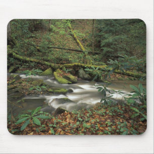 USA, Tennessee. Big South Fork National River Mouse Mat