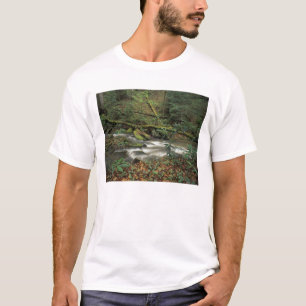 USA, Tennessee. Big South Fork National River T-Shirt