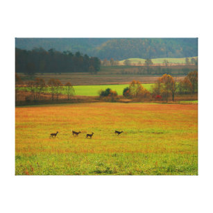 USA, Tennessee. Cades Cove In Smoky Mountain 2 Canvas Print