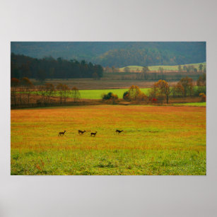 USA, Tennessee. Cades Cove In Smoky Mountain 2 Poster